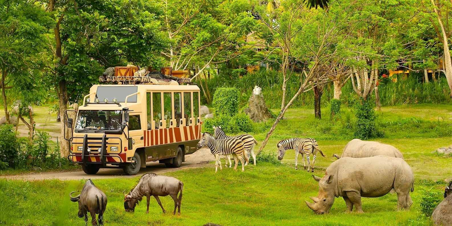Vinpearl Safari - Công viên bán hoang dã trong lòng thủ đô